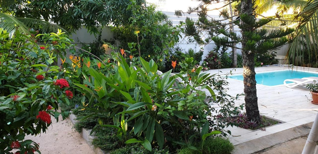 Holiday home Lush Garden With Private Pool