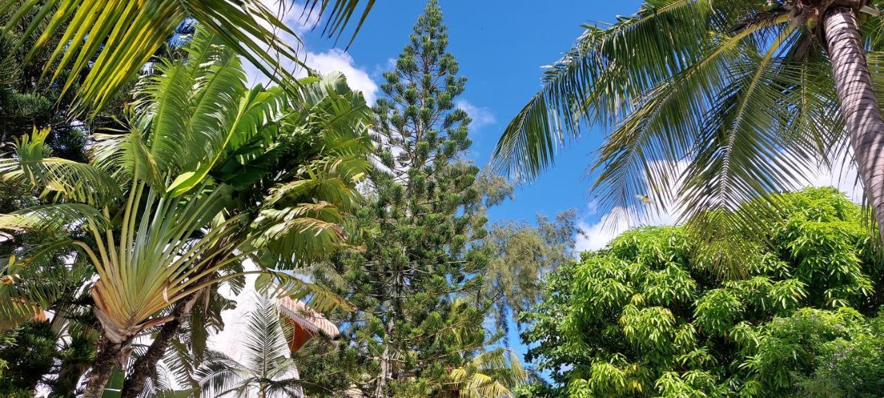 Holiday home Lush Garden With Private Pool Trou aux Biches